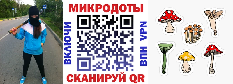 Псилоцибиновые грибы Cubensis  где купить наркотик  Алушта 