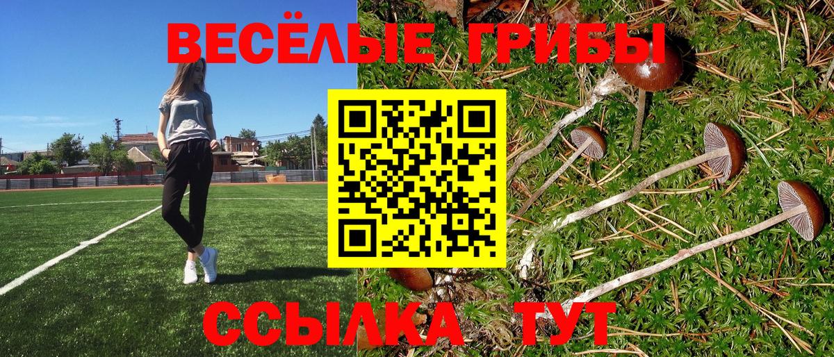 Алушта  Галлюциногенные грибы Psilocybe  Вход с VPN 