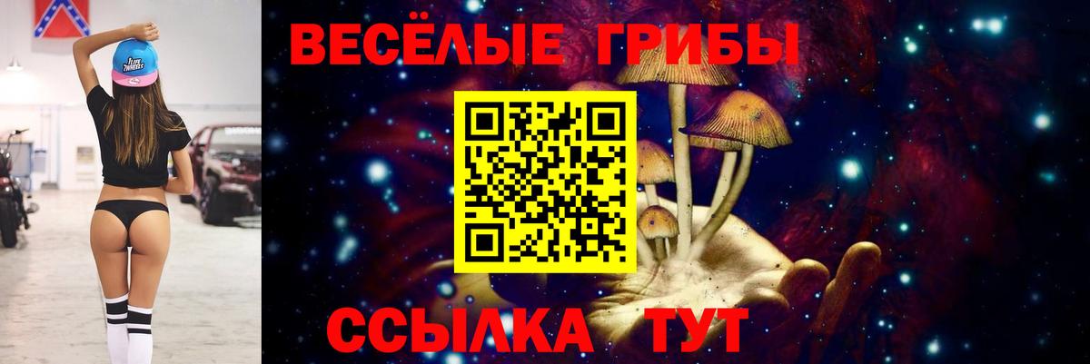 Галлюциногенные грибы GOLDEN TEACHER Алушта